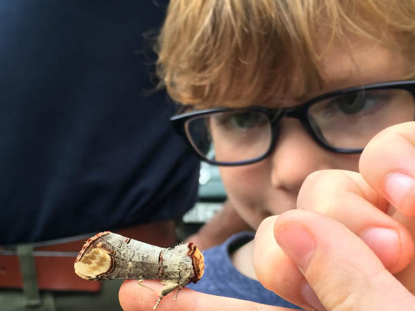 caring for gods acre