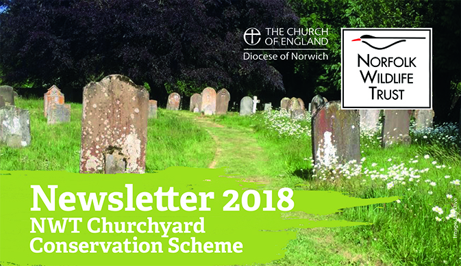 churchyard-newsletter-1