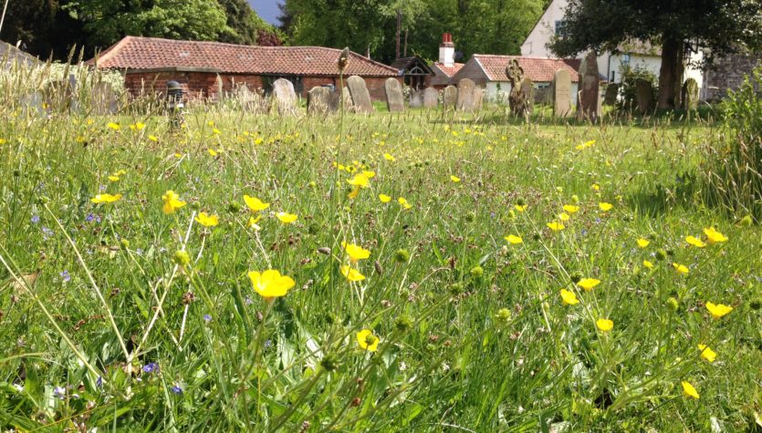 Ludham churchyard, Ludham, Norfolk, Emily Nobbs, 19 May 2015