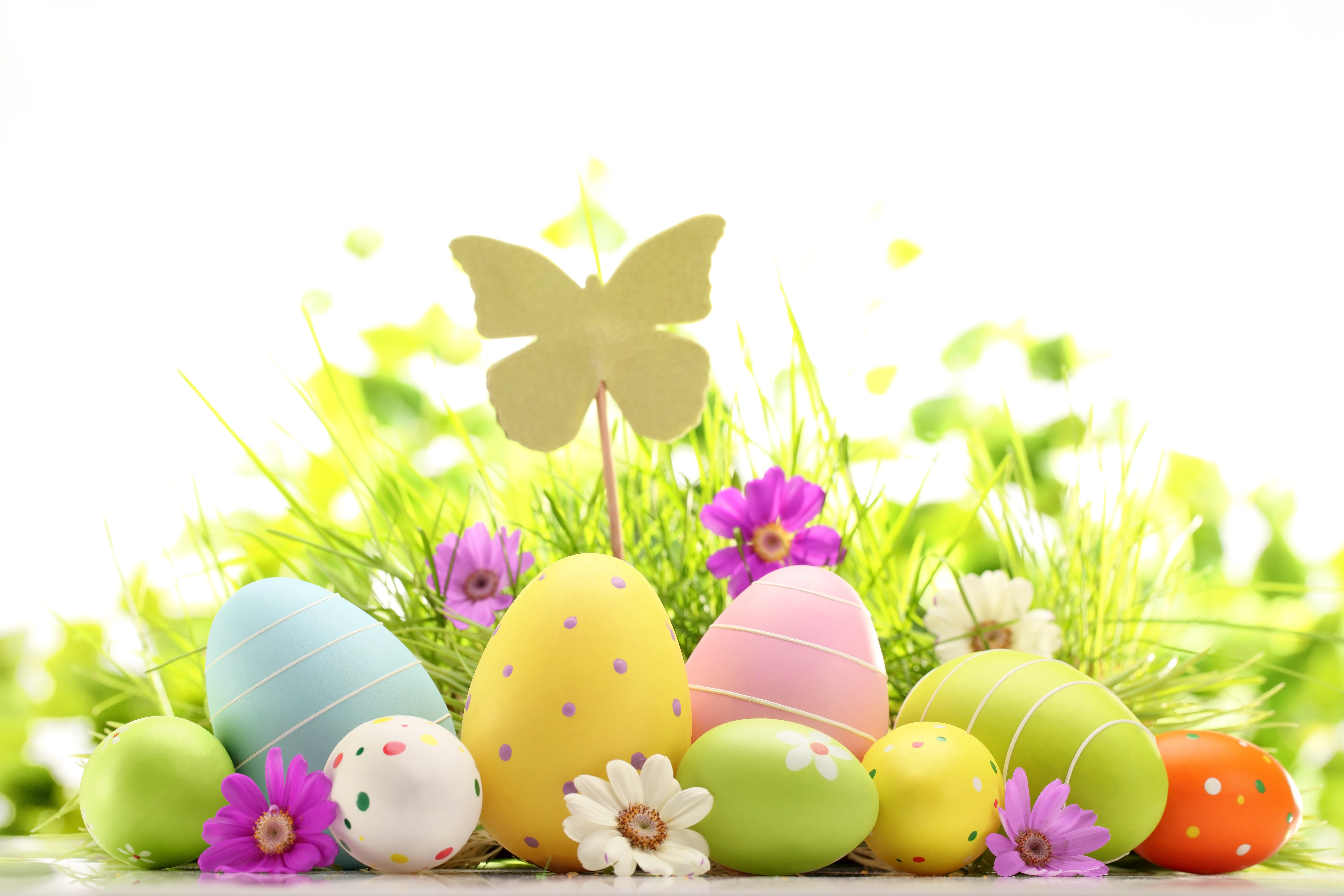 shutterstock_129299678