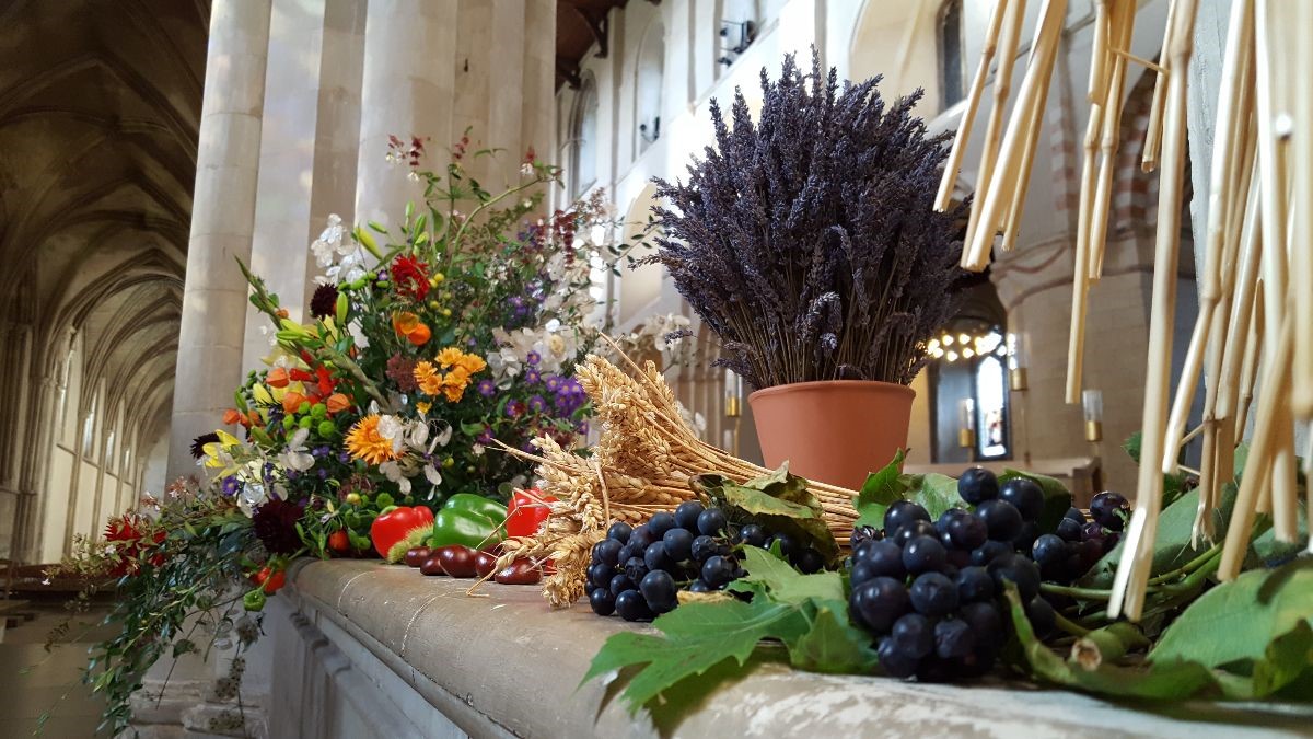 Harvest