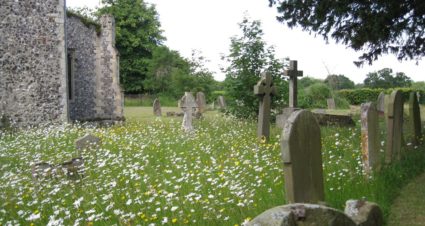 Managing churchyards for wildlife