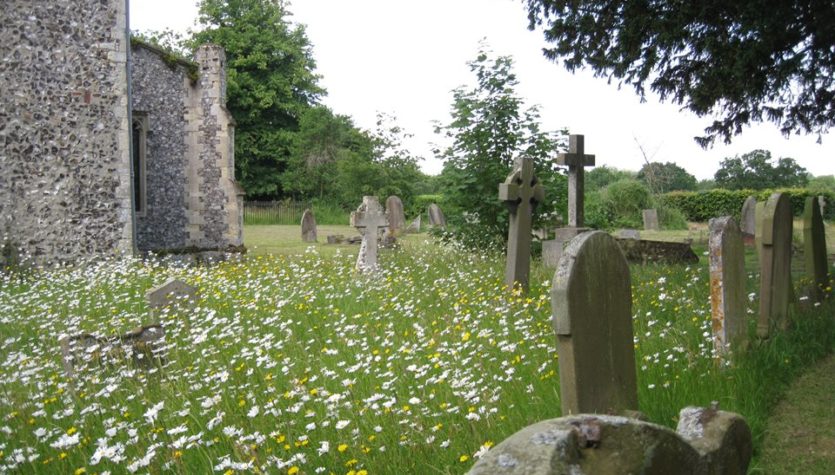 Wroxham-churchyard-2-Wroxham-Emily-Nobbs-13-June-2013-(00000003)
