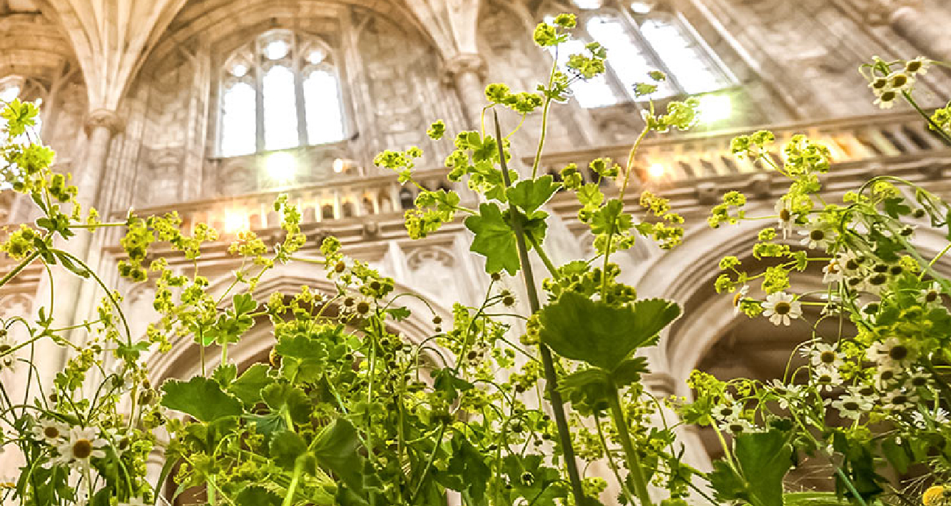 Eco Church