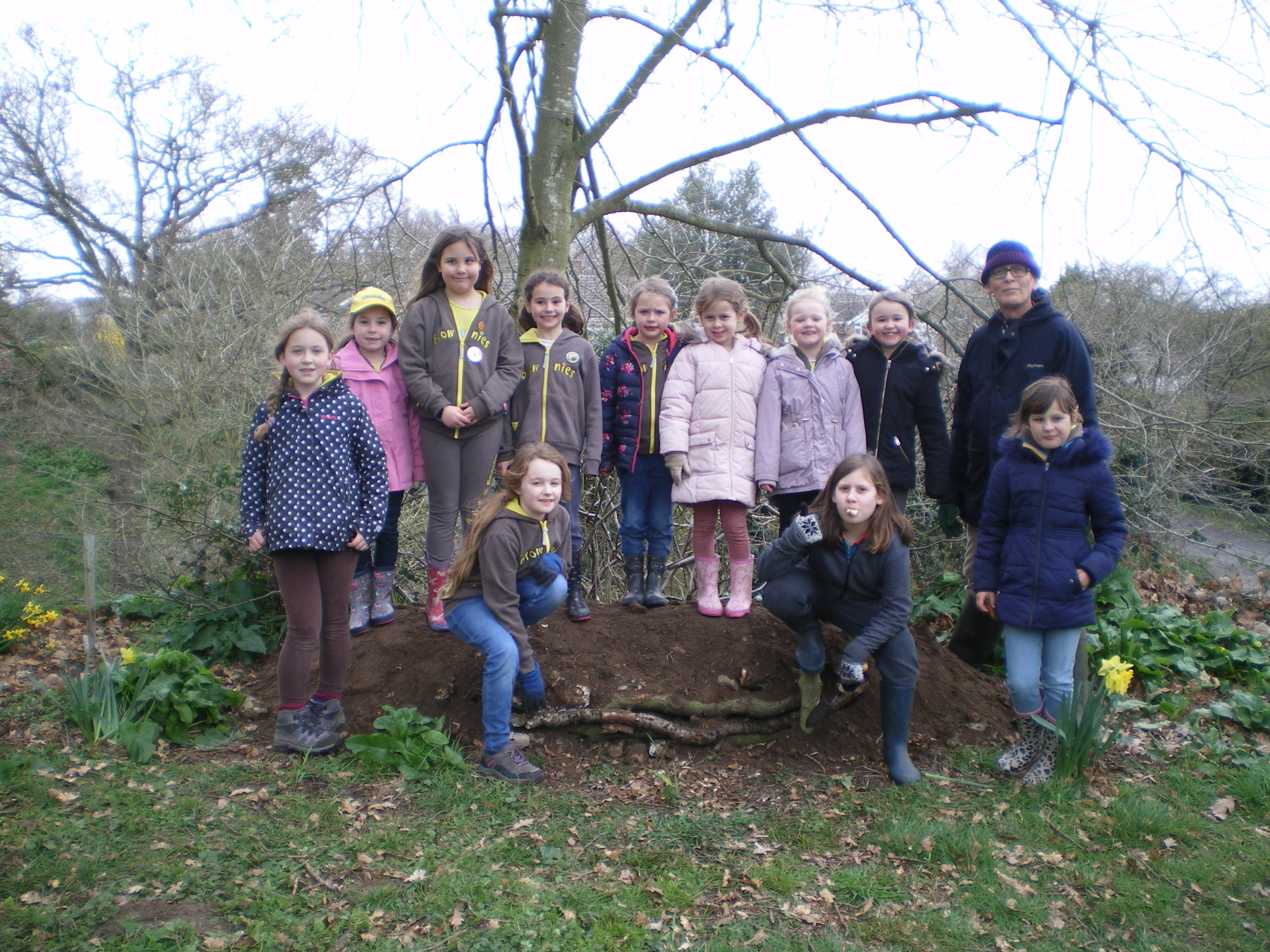 Chedgrave Brownies help to build a bee bank in the churchyard