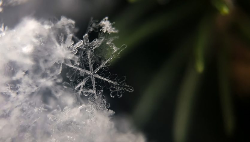 aaron-burden-cOdDOVj3FCc-unsplash