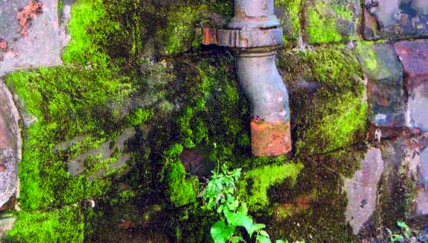 drainpipe