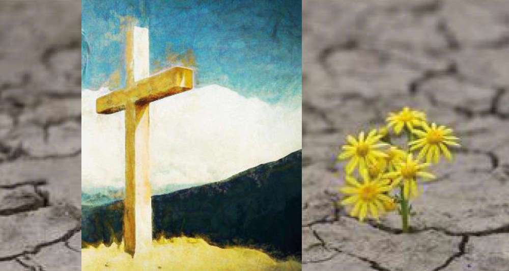 Exeter Dio Collective Worship planning resources