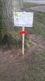 Badersfield 5