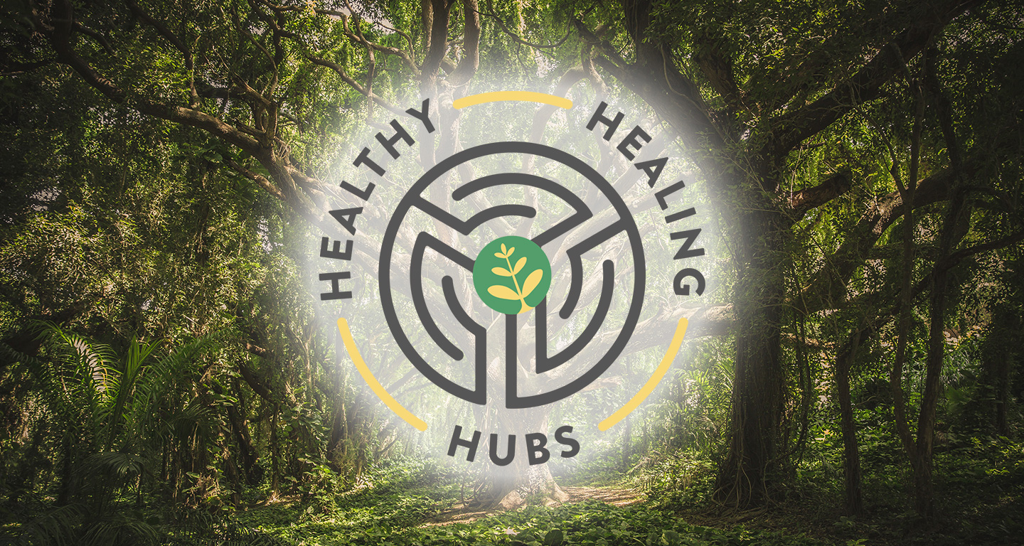 Healthy Healing Hubs