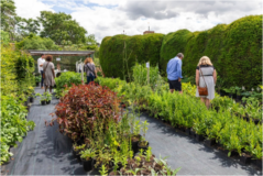 Plant sales 1