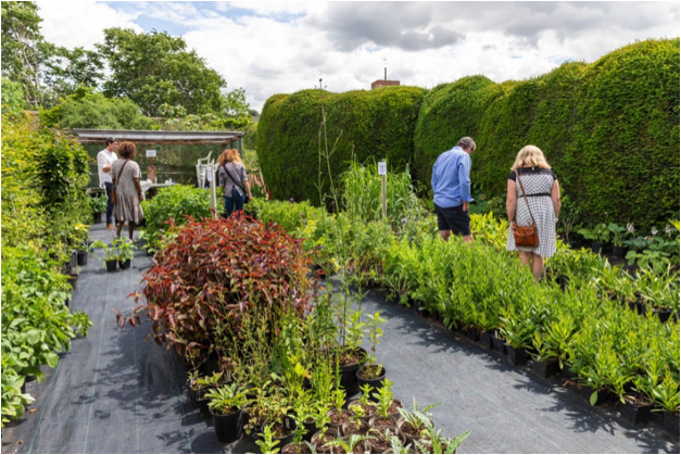 Plant sales 1