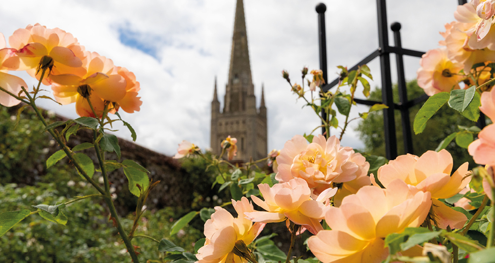 Bishop's Garden open