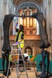 Building Dippy the dinosaur at Norwich Cathedral. Noemi Moran from the Natural History Museum examining the casting as it is erected. Photograph: Norwich Cathedral/Bill Smith