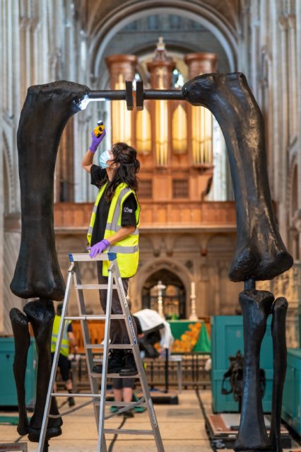 Building Dippy the dinosaur at Norwich Cathedral. Noemi Moran from the Natural History Museum examining the casting as it is erected. Photograph: Norwich Cathedral/Bill Smith