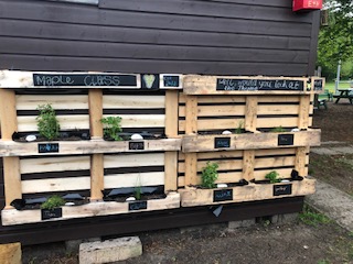 Mundford Pri Garden planters