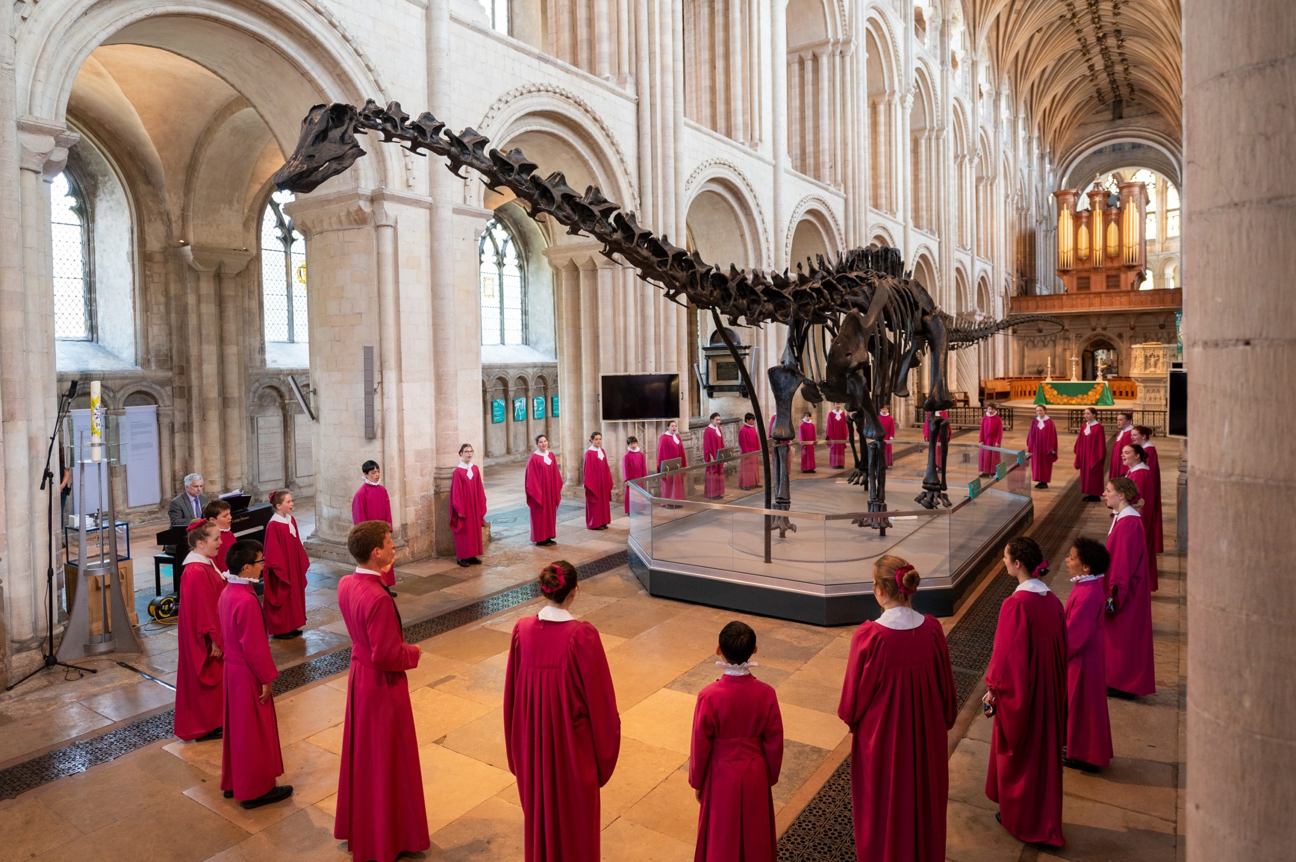 Cathedral choristers singing around Dippy at the launch. Photograph: Norwich Cathedral/Bill Smith