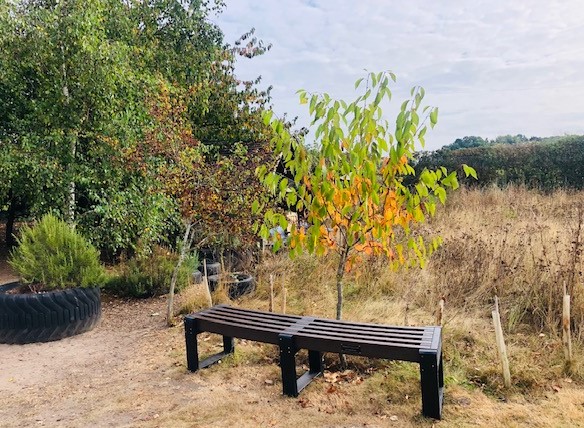 Ellingham Bench 01