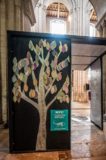 Healing tree in the face of a climate emergency. Photograph: Norwich Cathedral/Bill Smith
