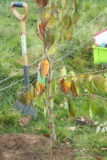 QGC St Michael's Bowthorpe 04