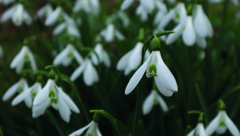 wendy-morris-kNrZrwq7VQk-unsplash