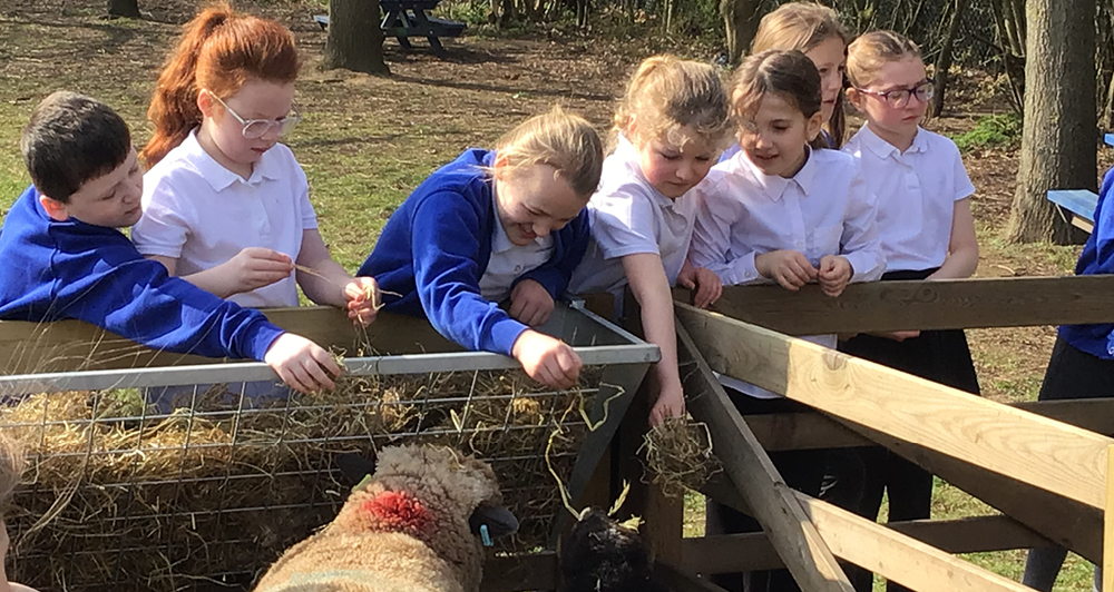 Caston Primary