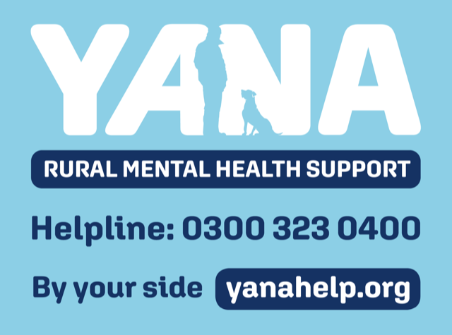 YANA logo 3