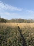 The Barnham Broom Fuel Allotment Charity