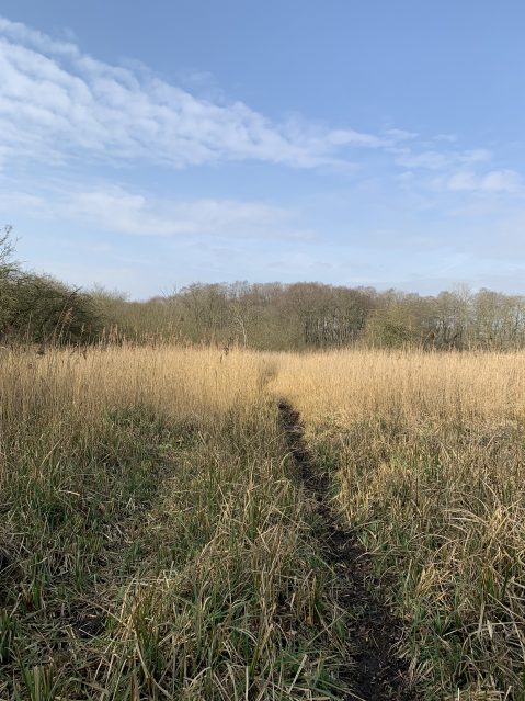 The Barnham Broom Fuel Allotment Charity