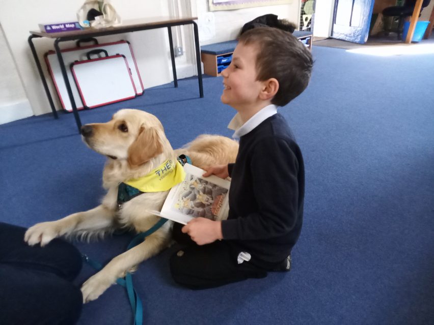 Riley - Diss Primary Academ y