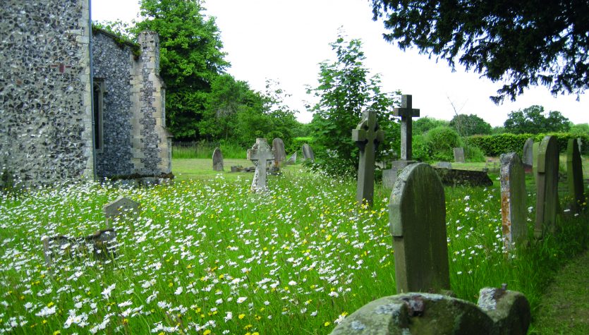 Wroxham churchyard 2, Wroxham, Emily Nobbs, 13 June 2013