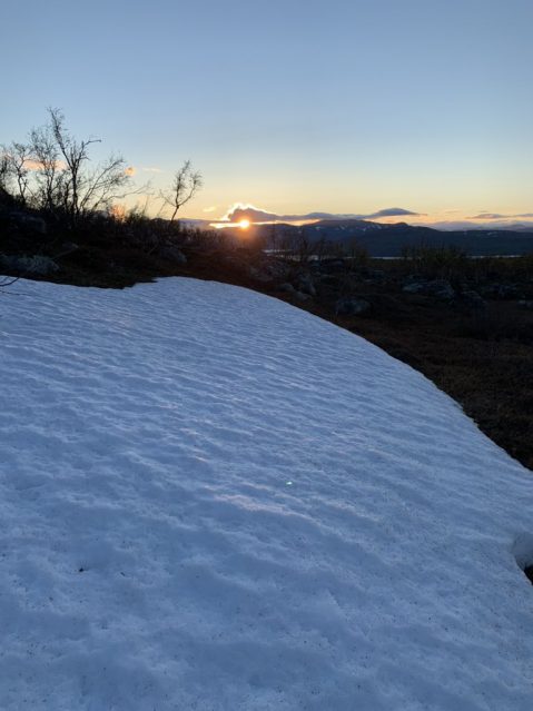 The Midnight Sun