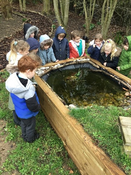 Lyng Church of England Primary Academy garden 2