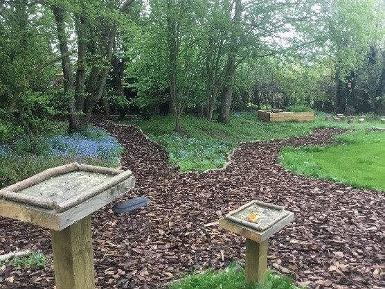 Lyng Church of England Primary Academy garden