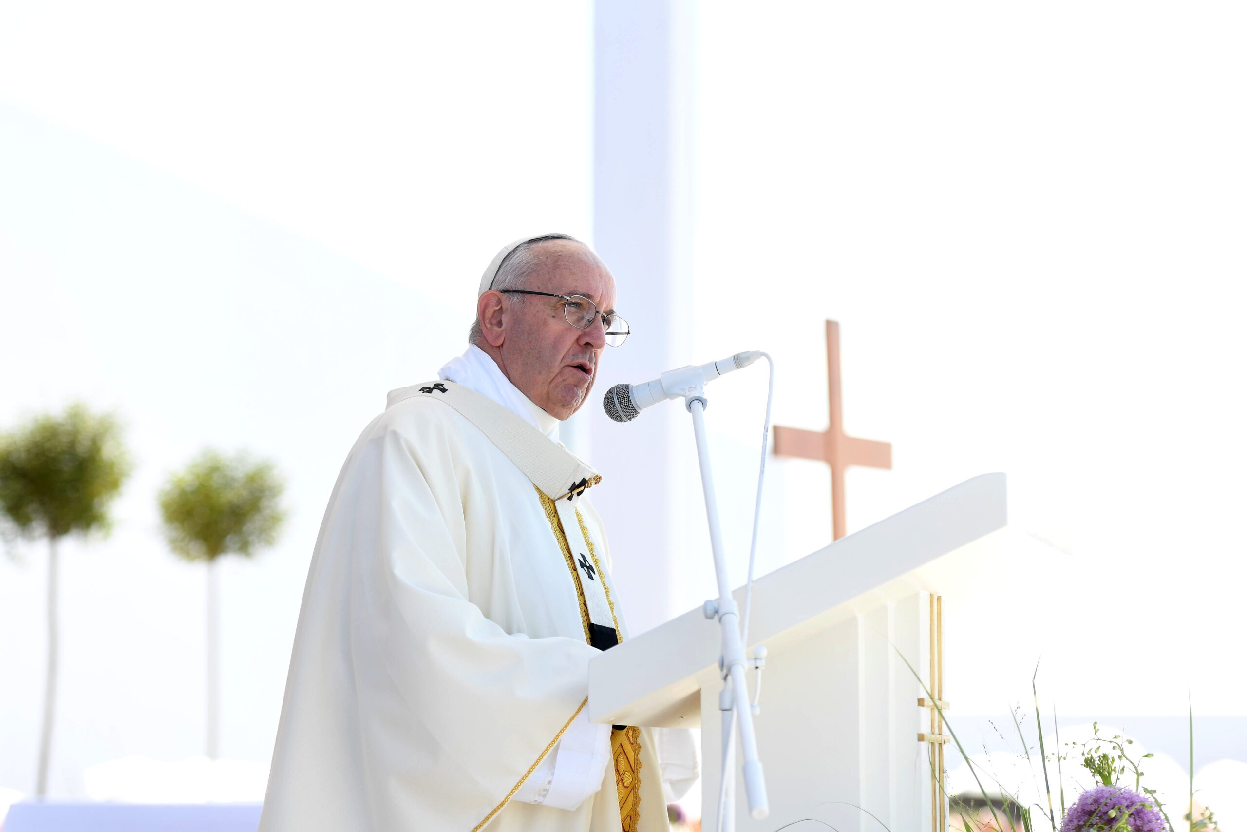 Pope Francis (c) Mazur/CBCEW