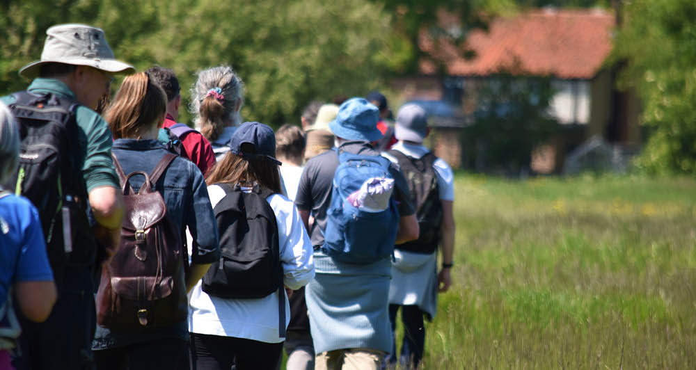 Website Pilgrims