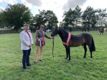 Norfolk Show Horse of Year