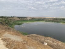 A rewilding project in the Jordan valley